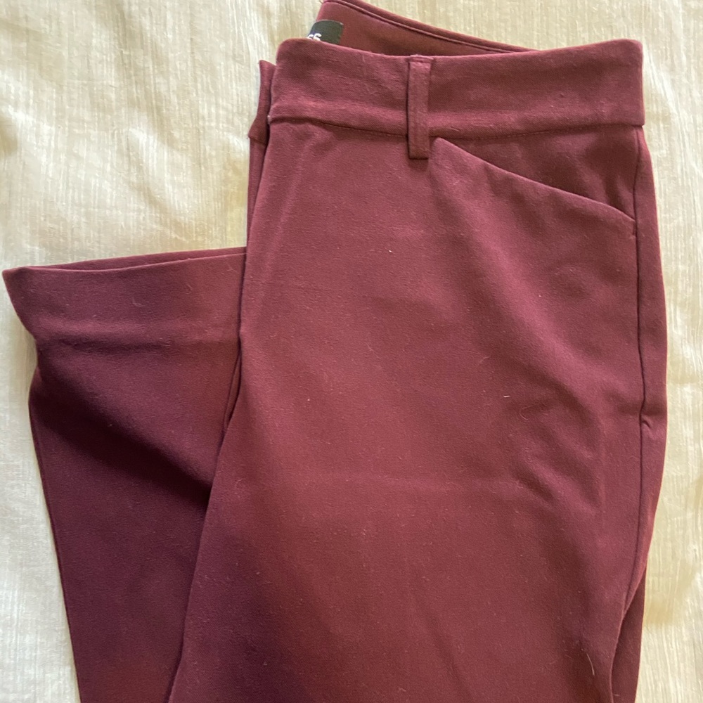 Express Editor Barely Boot Low Rise Dress Pants